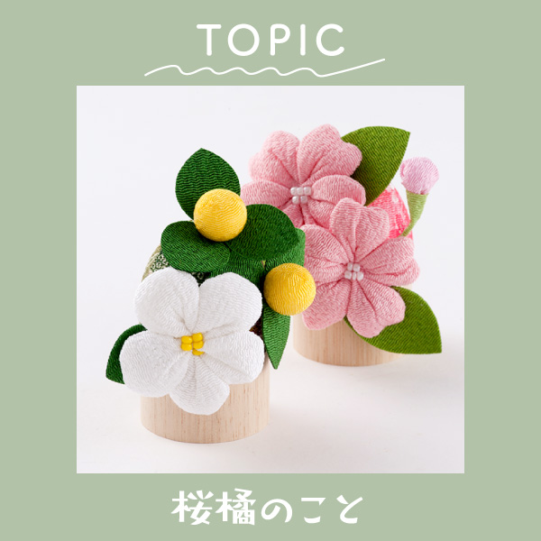  雛人形に飾られる左近の桜、右近の橘について