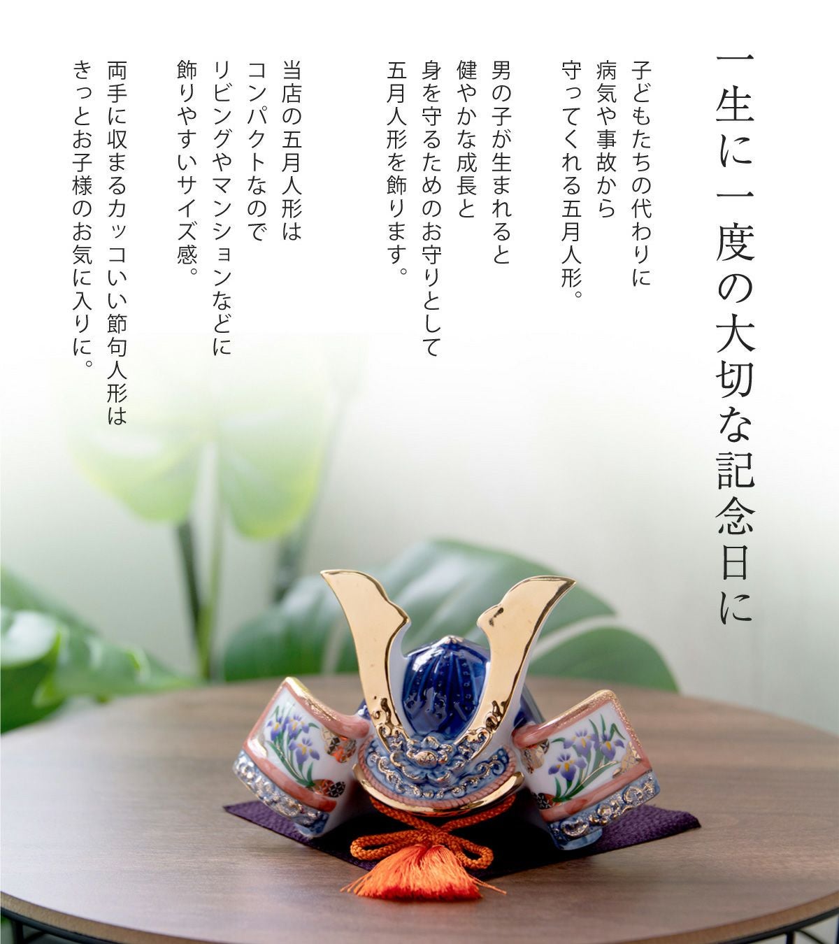 五月人形 兜 兜飾り コンパクト かわいい 初節句 陶器 陶磁器 桐箱 染