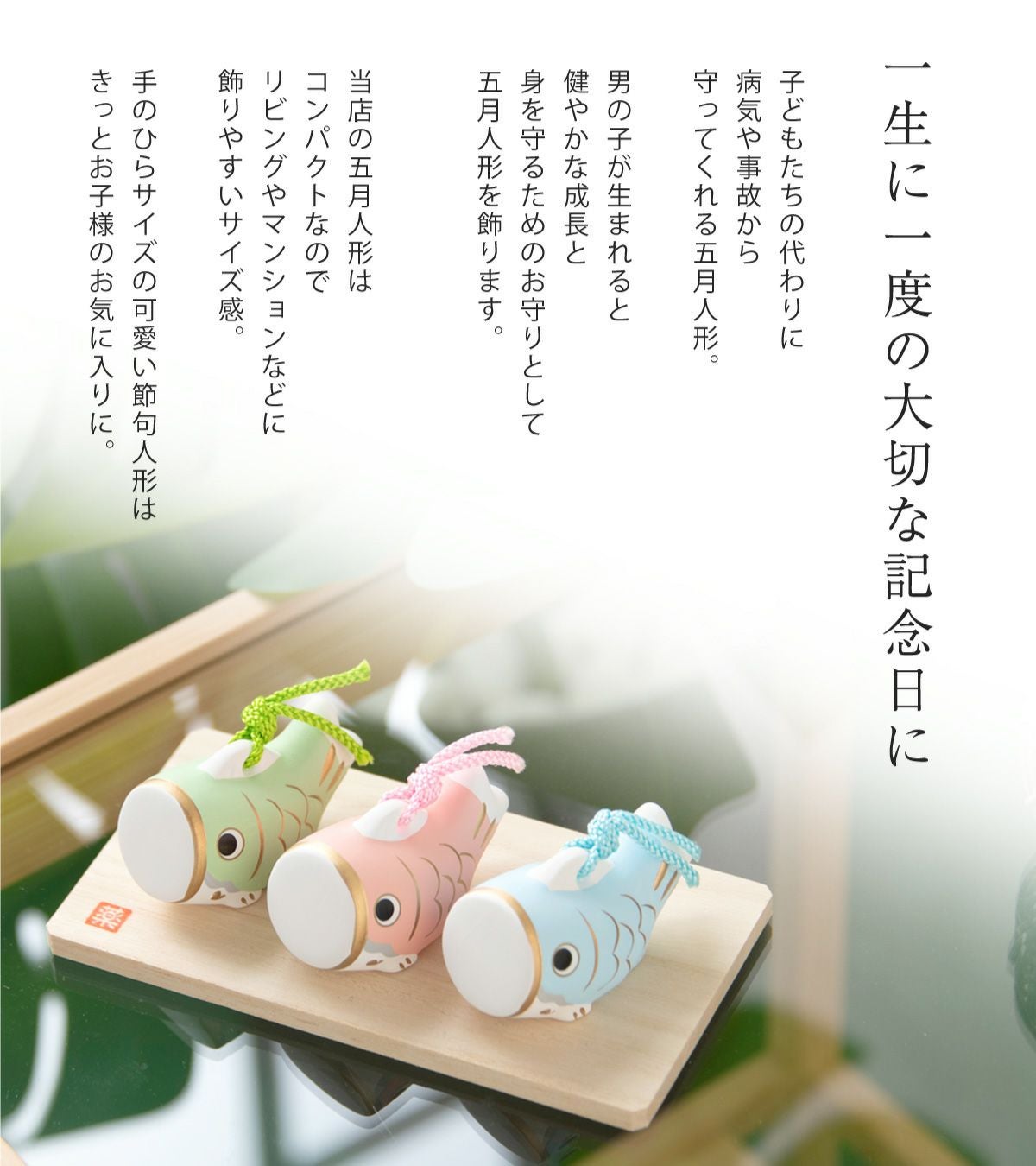 五月人形 兜 兜飾り コンパクト かわいい 初節句 2026年 錦彩鯉のぼり